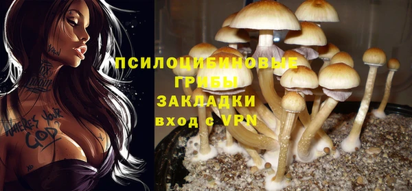 эйфоретик Корсаков