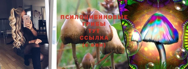 эйфоретик Корсаков