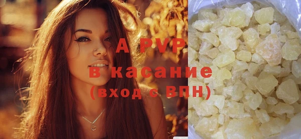 эйфоретик Корсаков