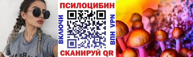 Галлюциногенные грибы MAGIC MUSHROOMS  сколько стоит  Ковылкино 